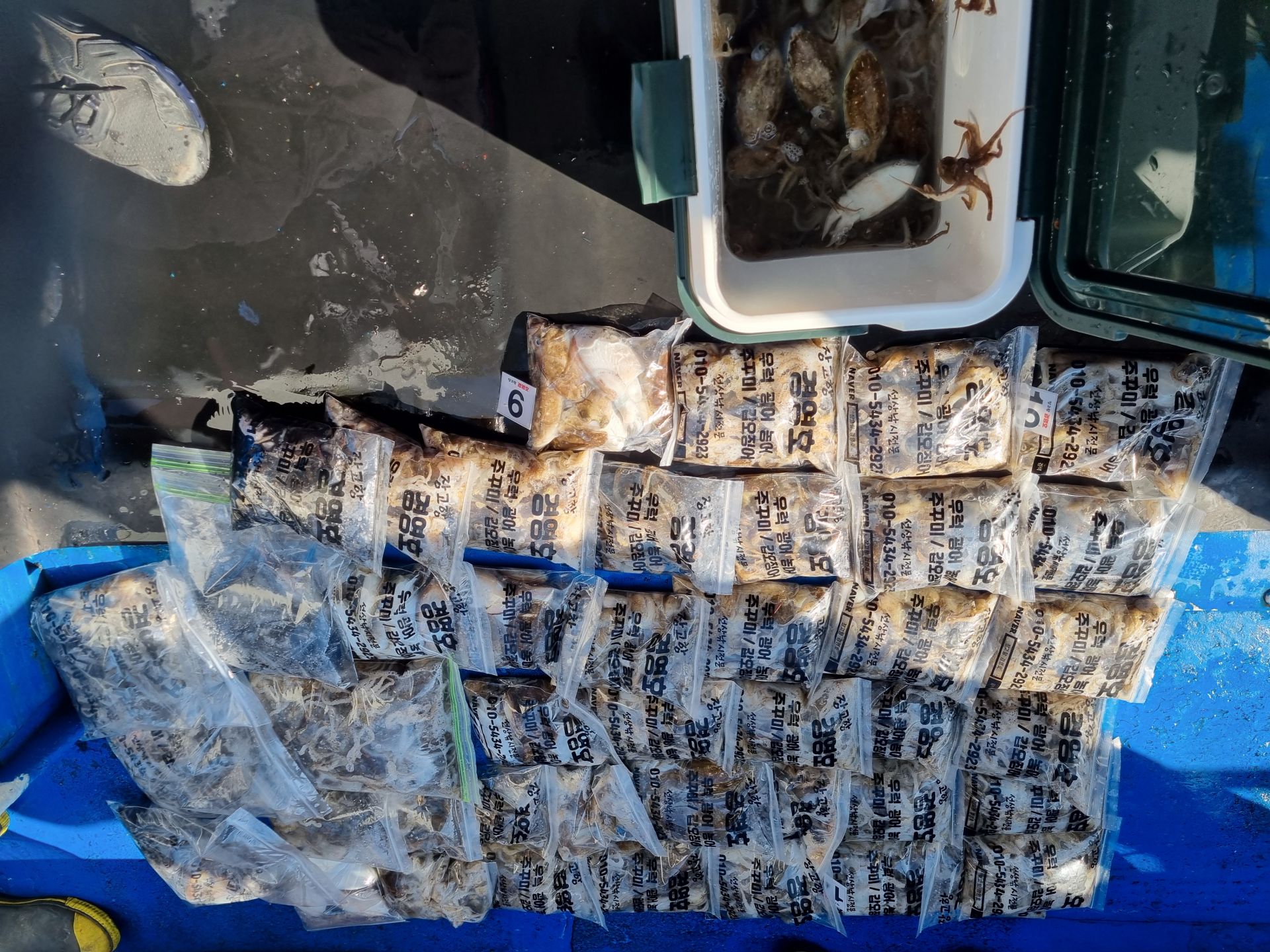 9월22일 조황사진입니다.