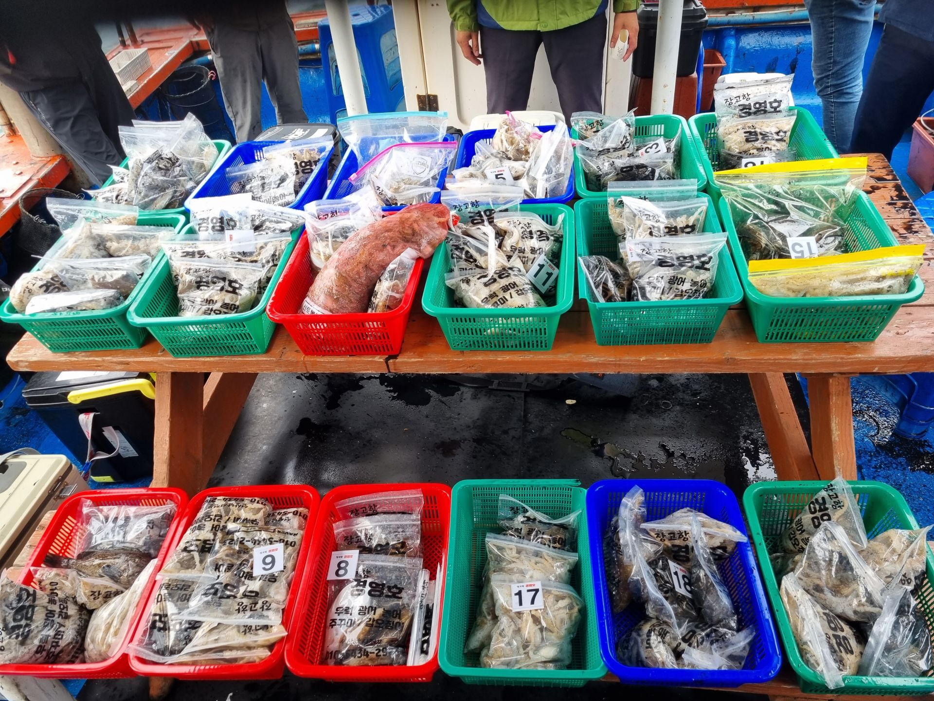 10월8일쭈&갑 조황사진입니다.