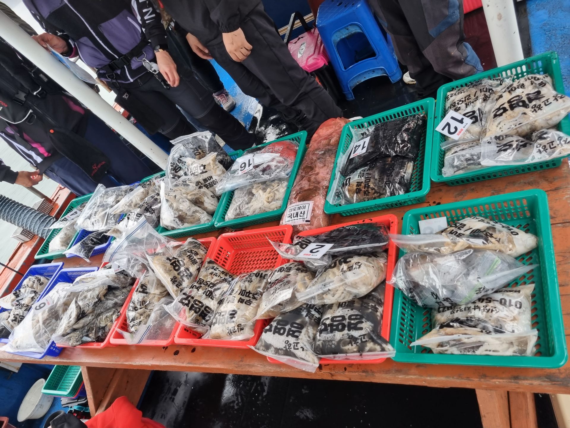 11월4일 조황사진입니다.