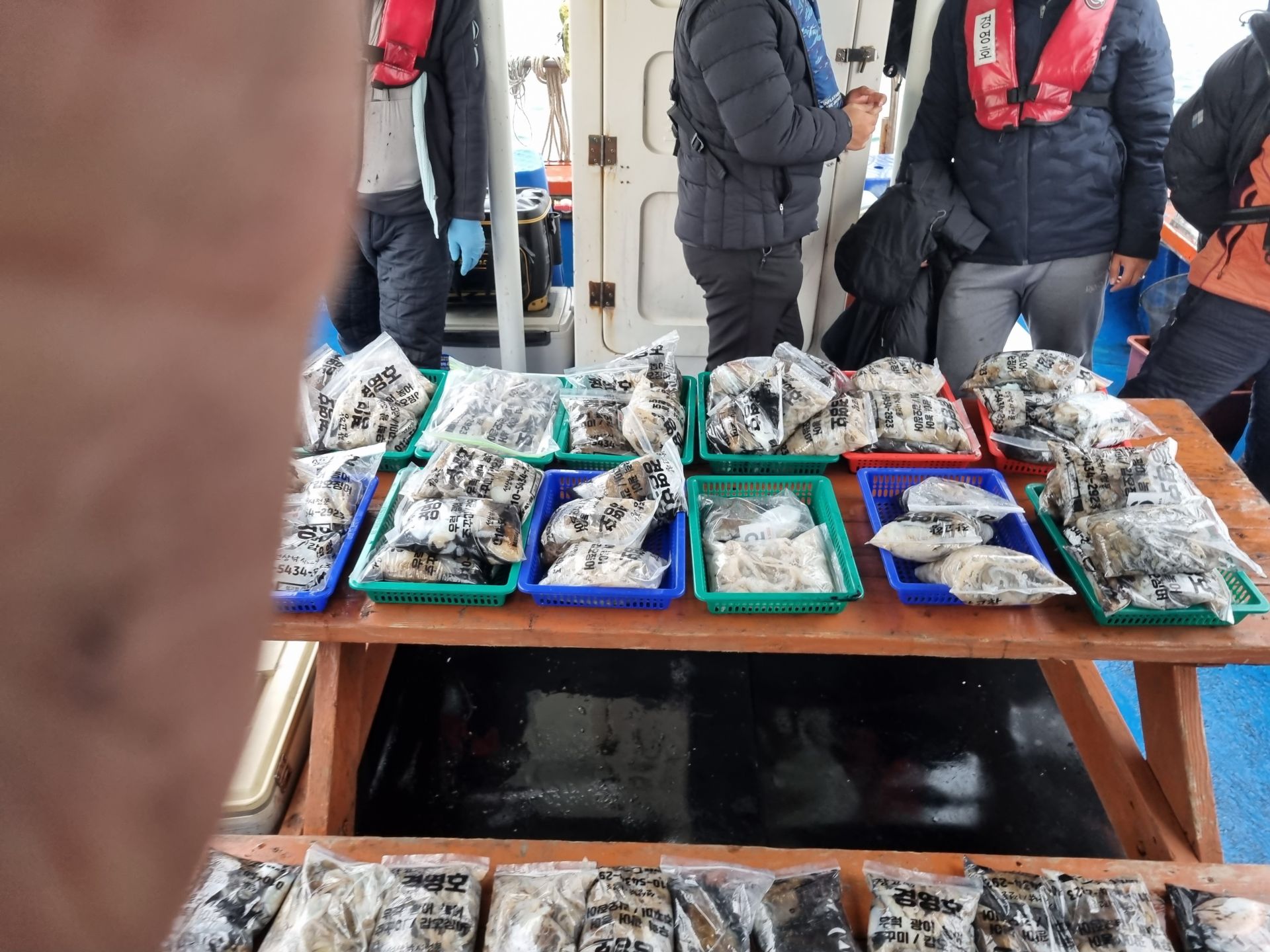 11월9일 조황사진입니다.