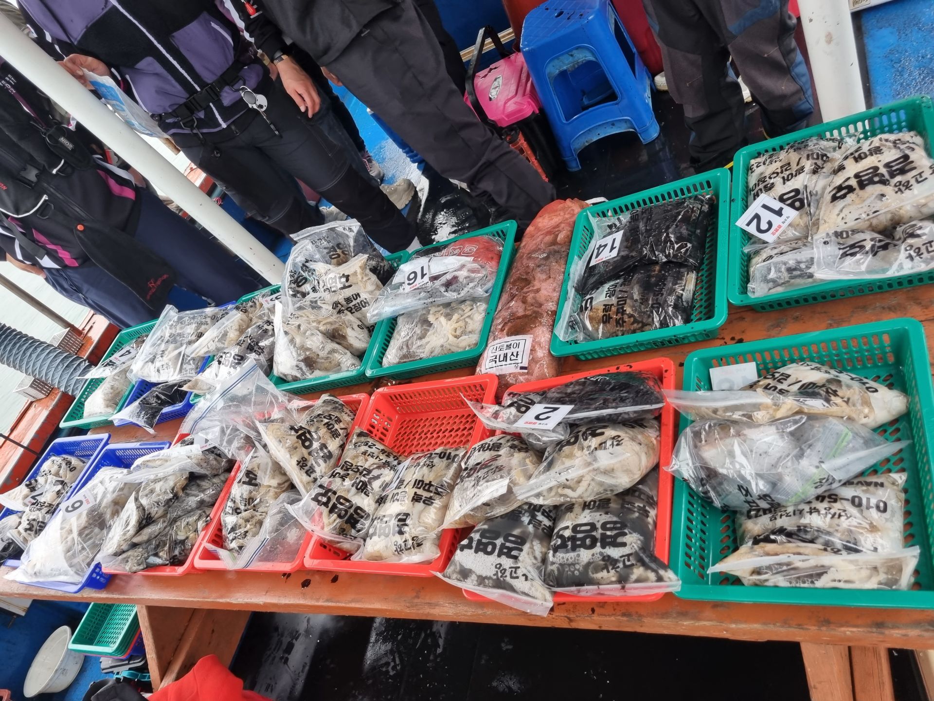 11월4일 조황사진입니다.