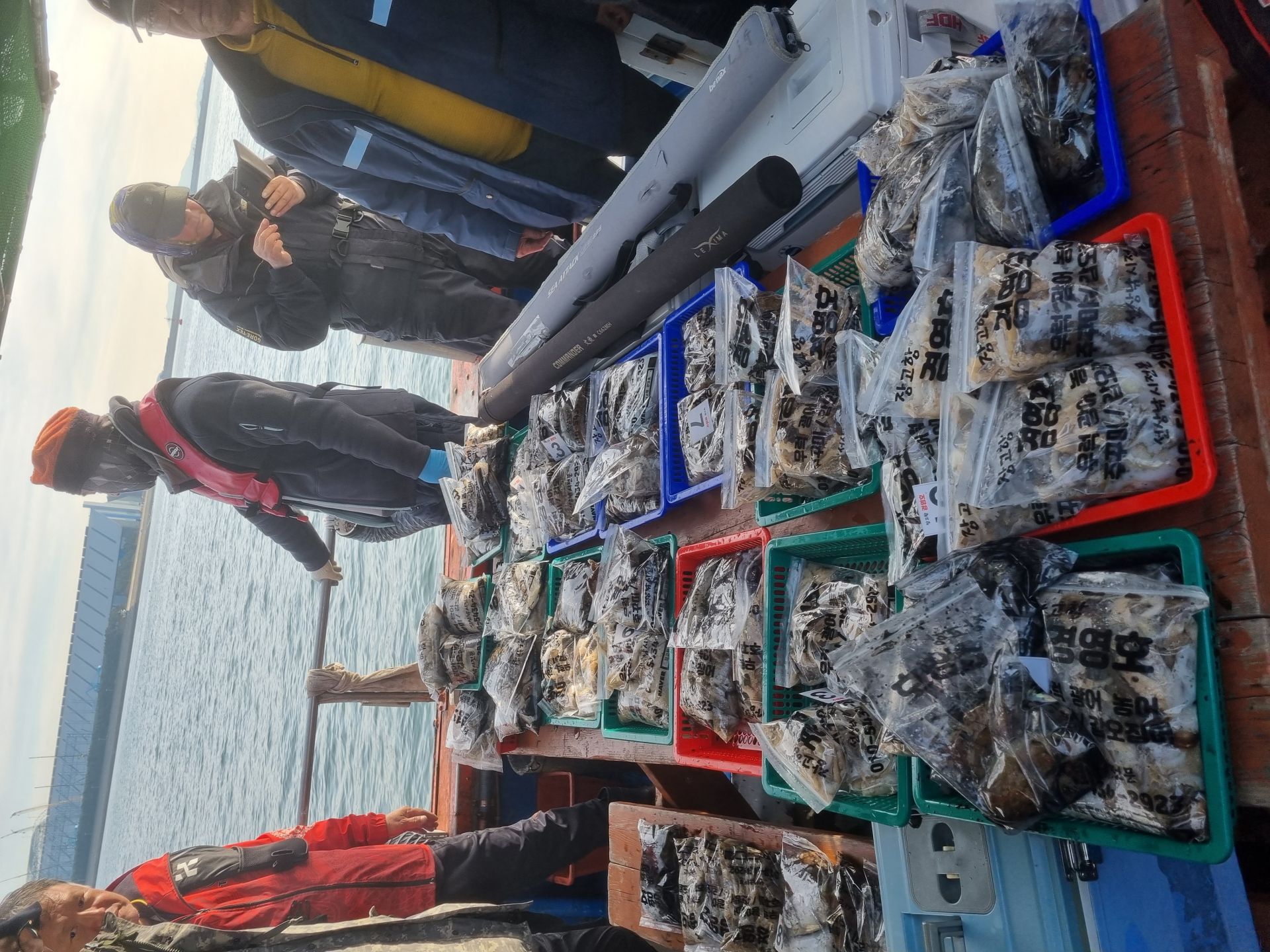 11월8일 조황사진입니다.