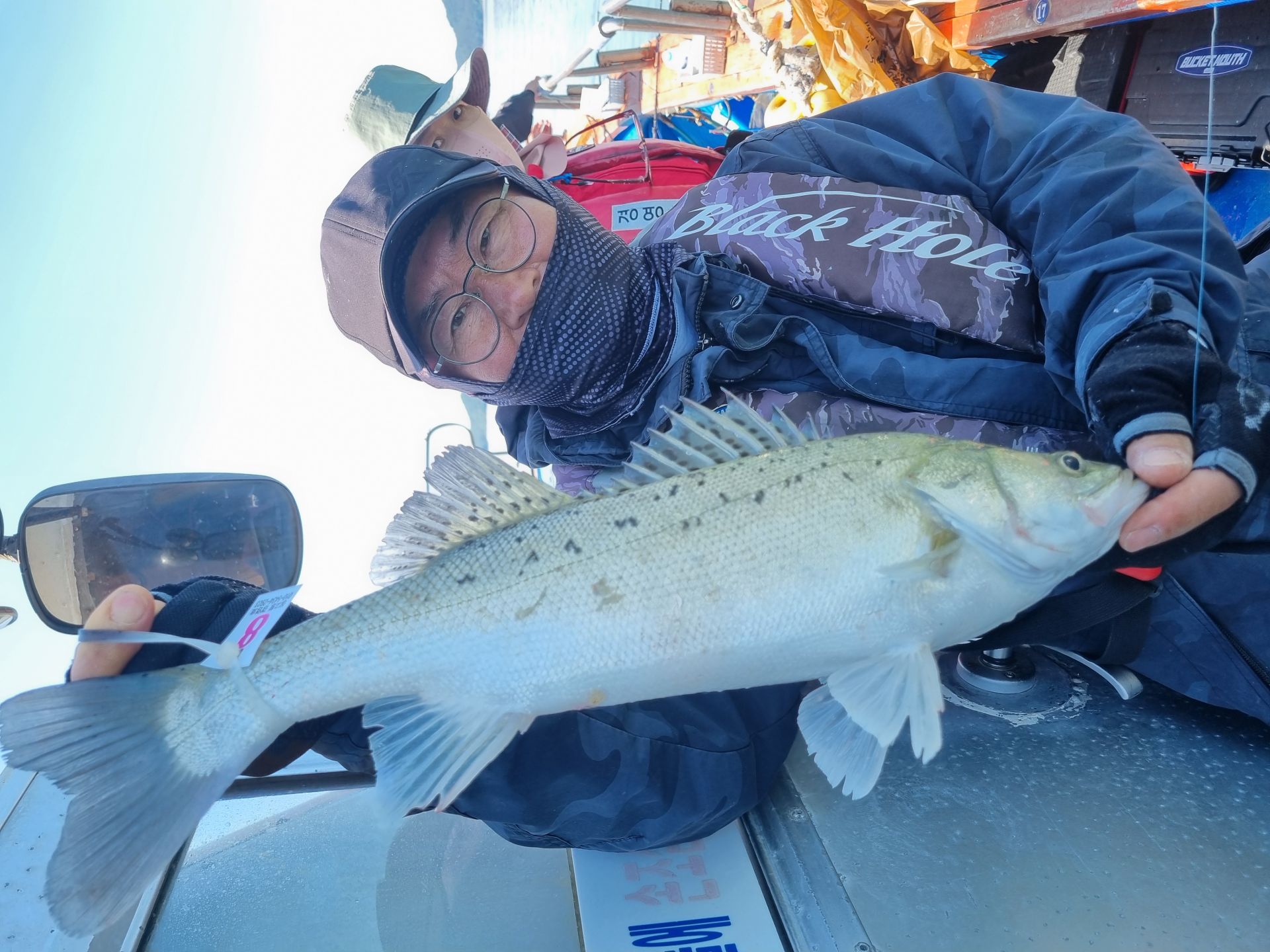 6월2일 조황사진입니다.