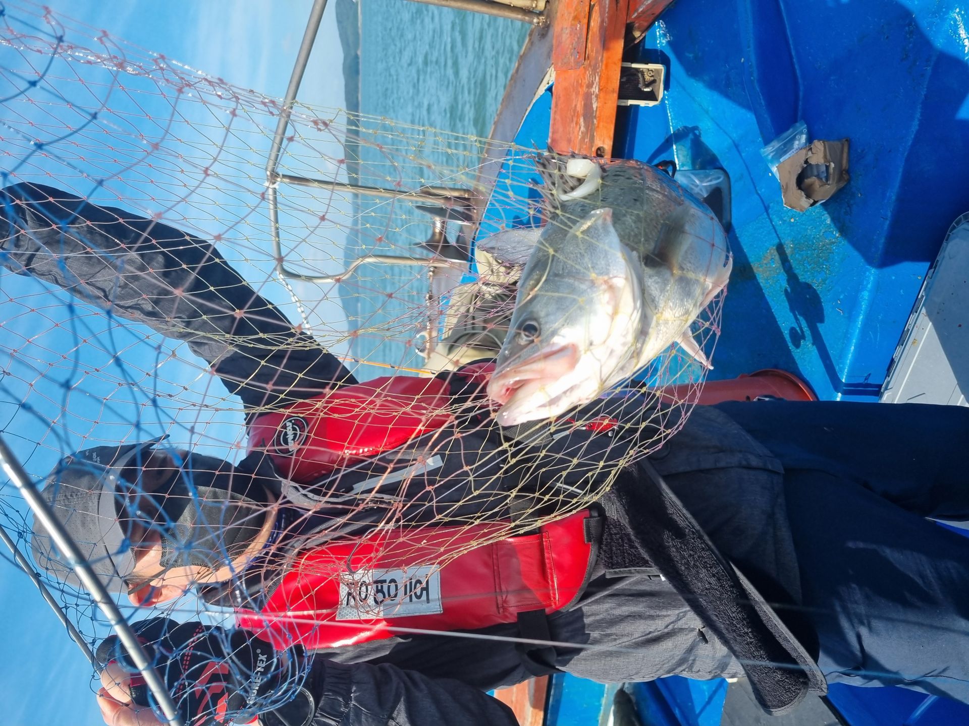 5월18일 조황사진입니다.