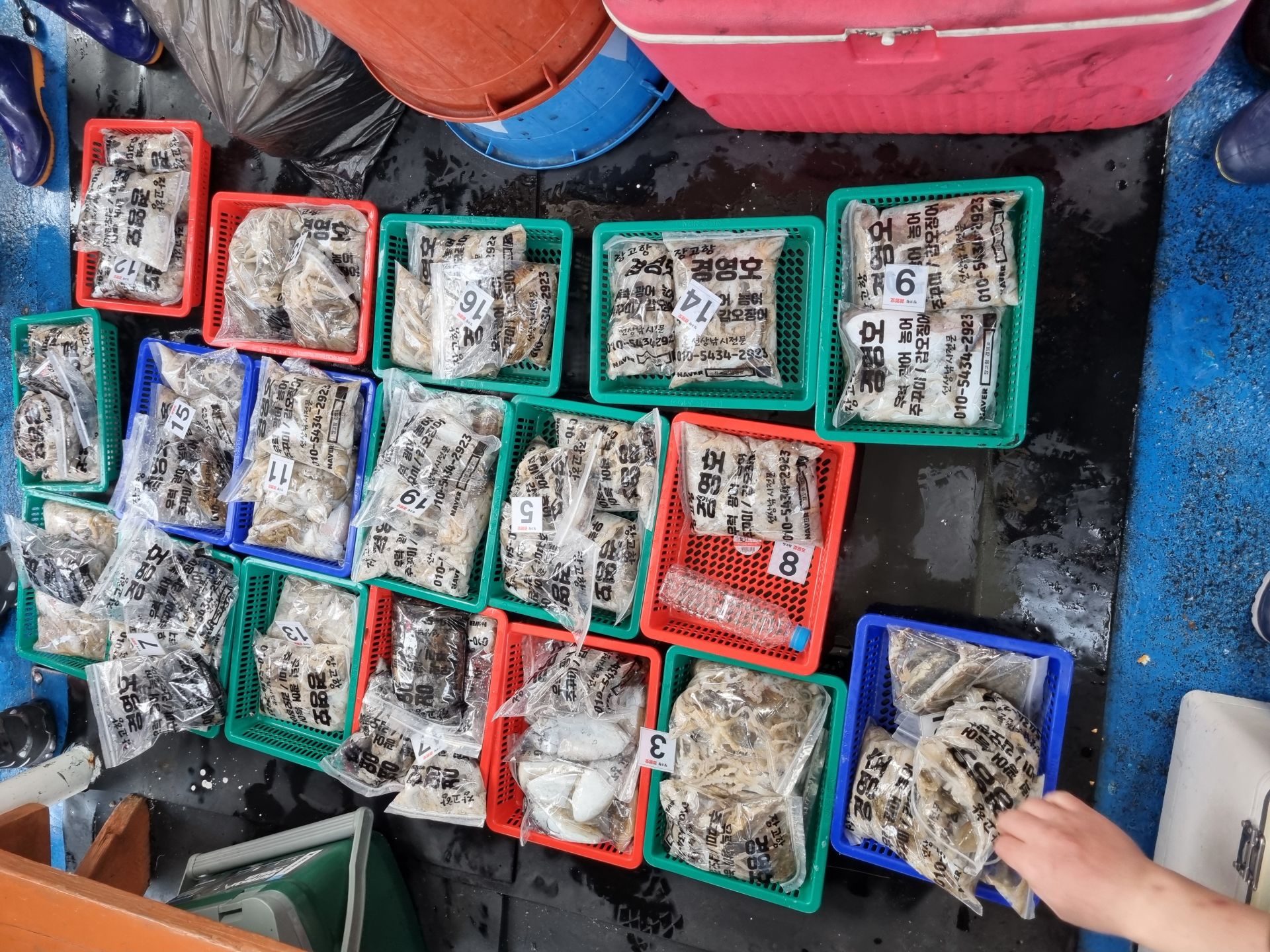 108일 조황사진입니다.