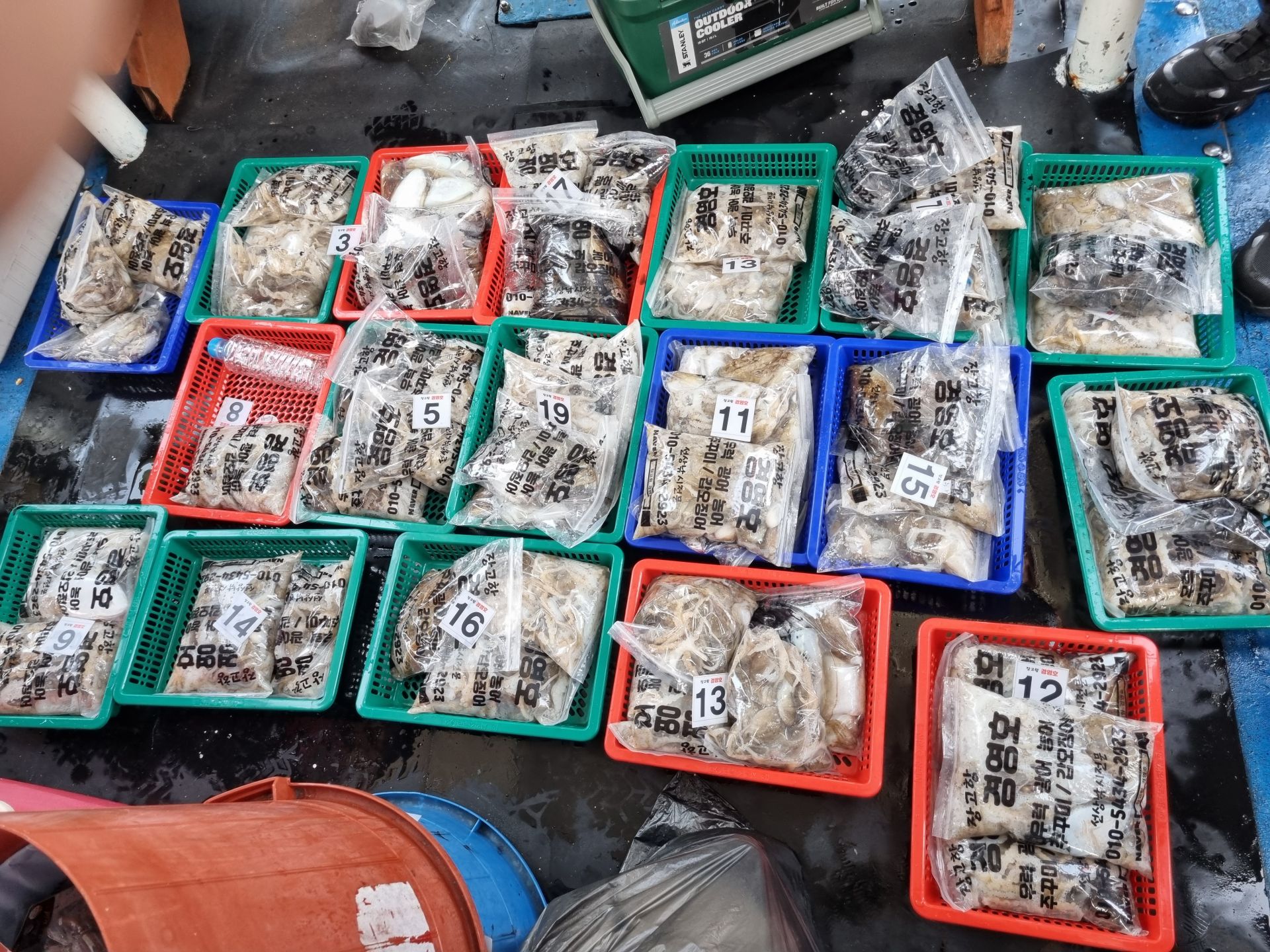 10월8일 조황사진입니다.