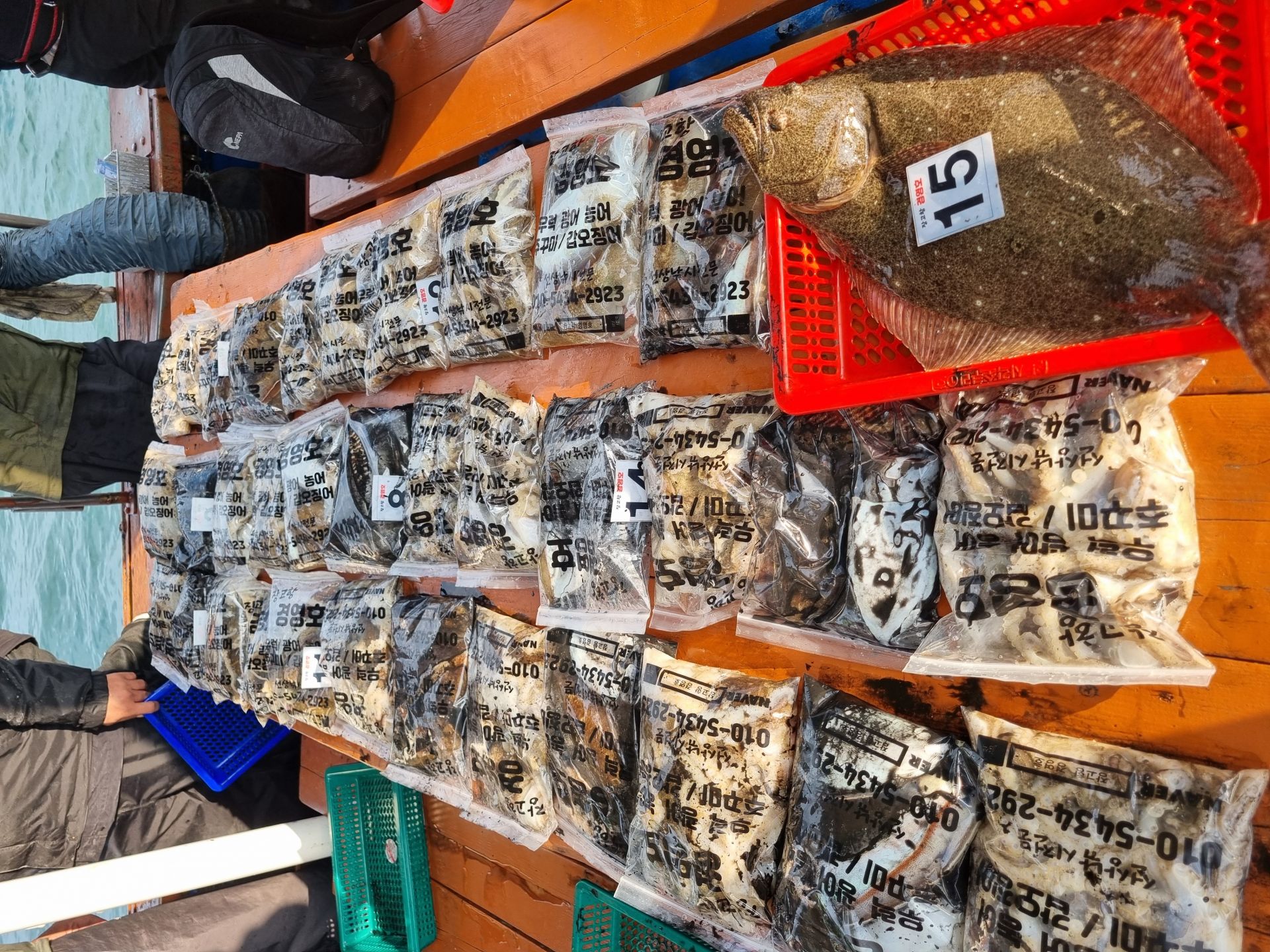 10월29일 조황사진입니다.