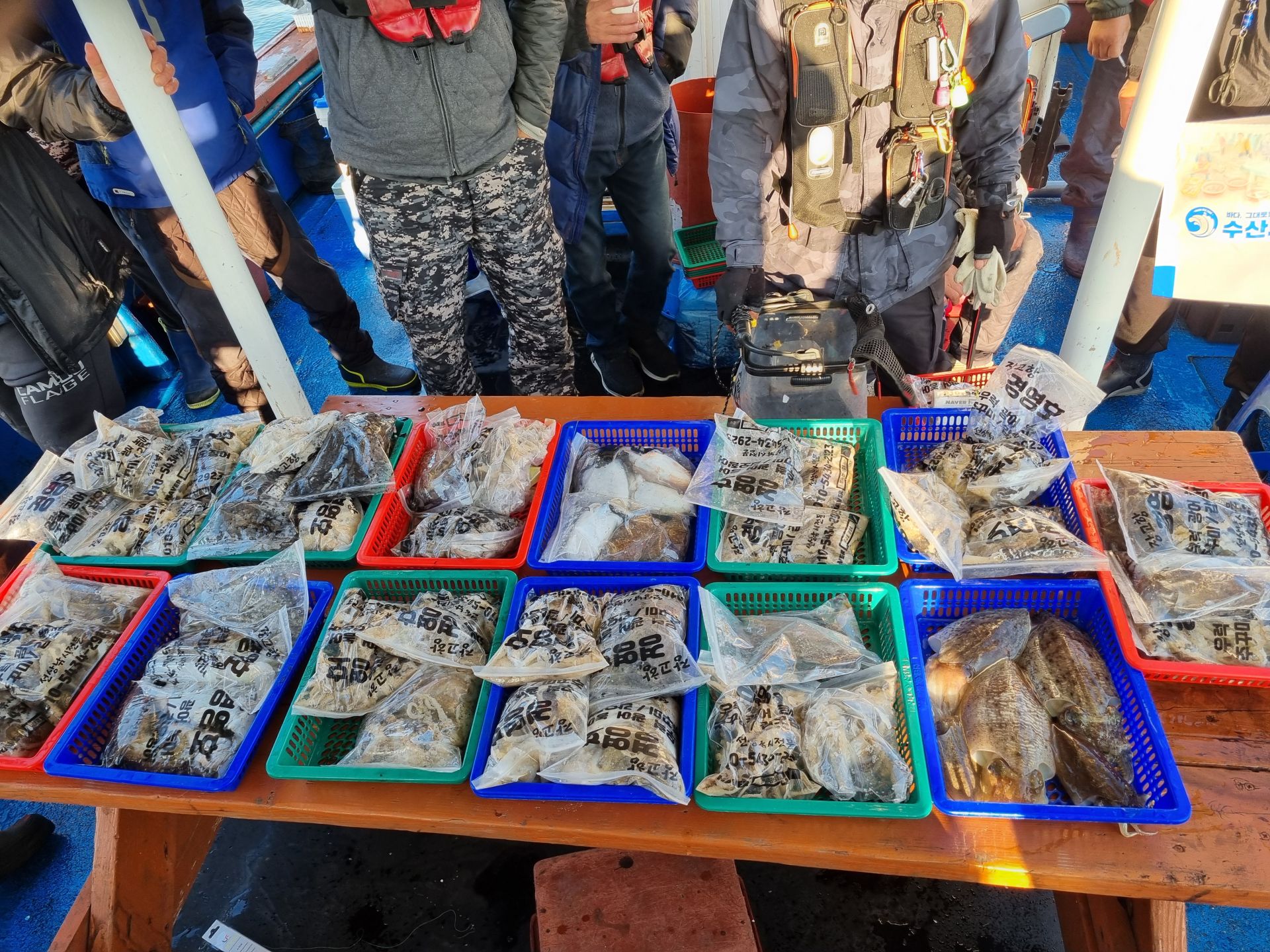 11월7일 조황사진입니다.