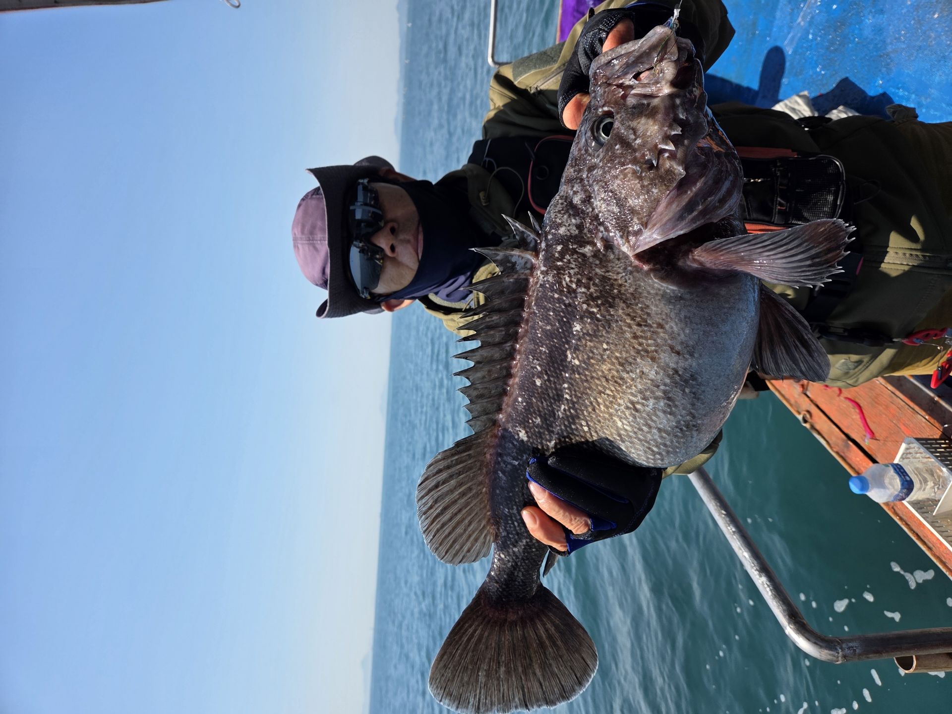 5월18일 개우력 조황사진입니다.