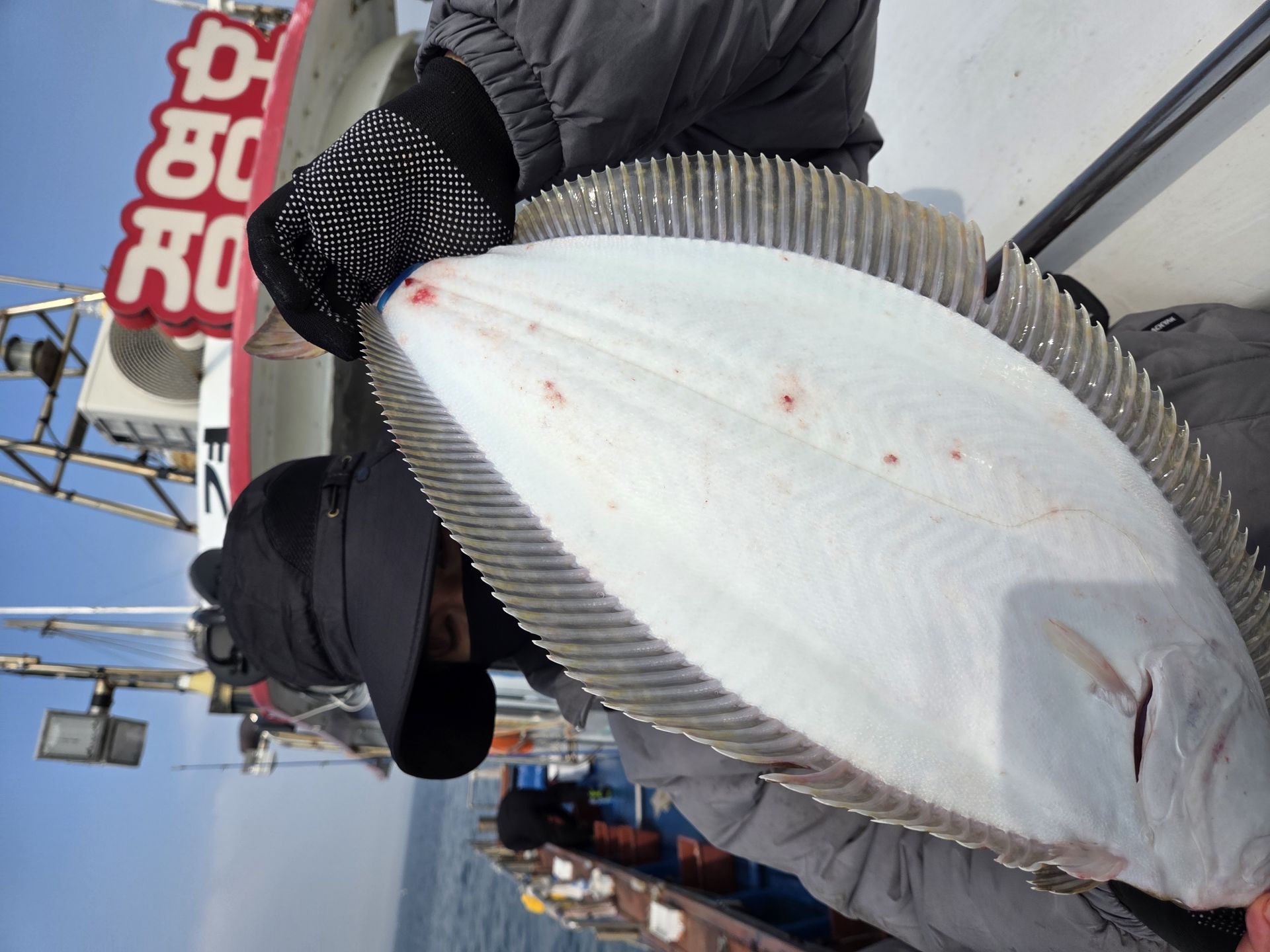 5월11일 조황사진입니다.