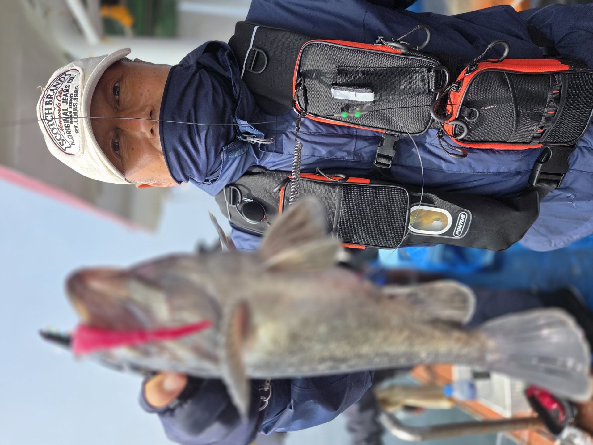 6월8일 우럭 조황사진입니다.