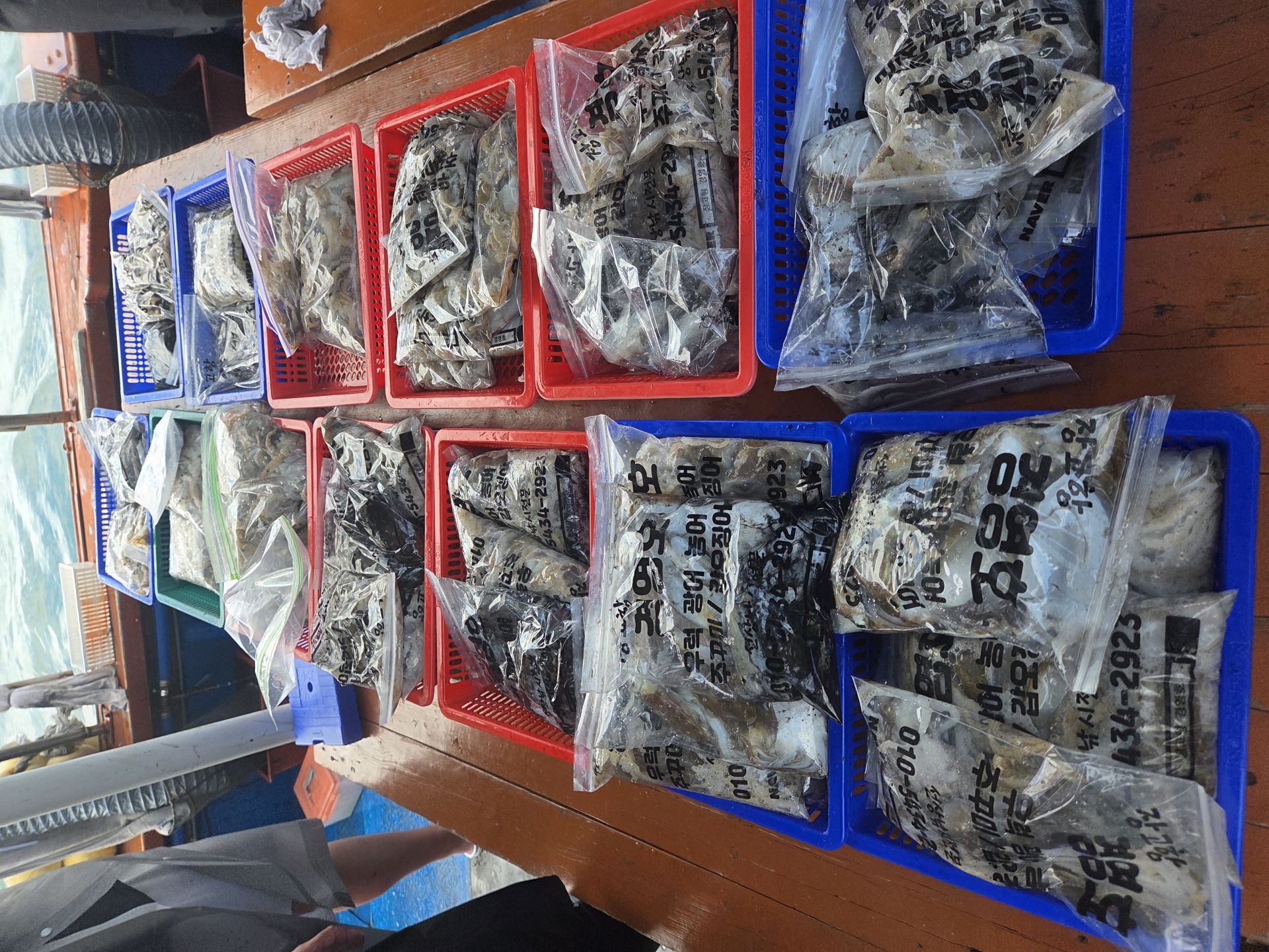 9월28일 조황사진입니다.