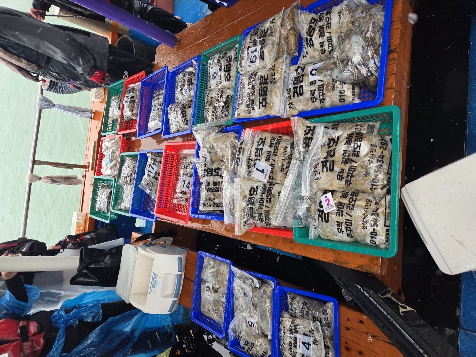 9월17일 주꾸미 조황사진입니다.