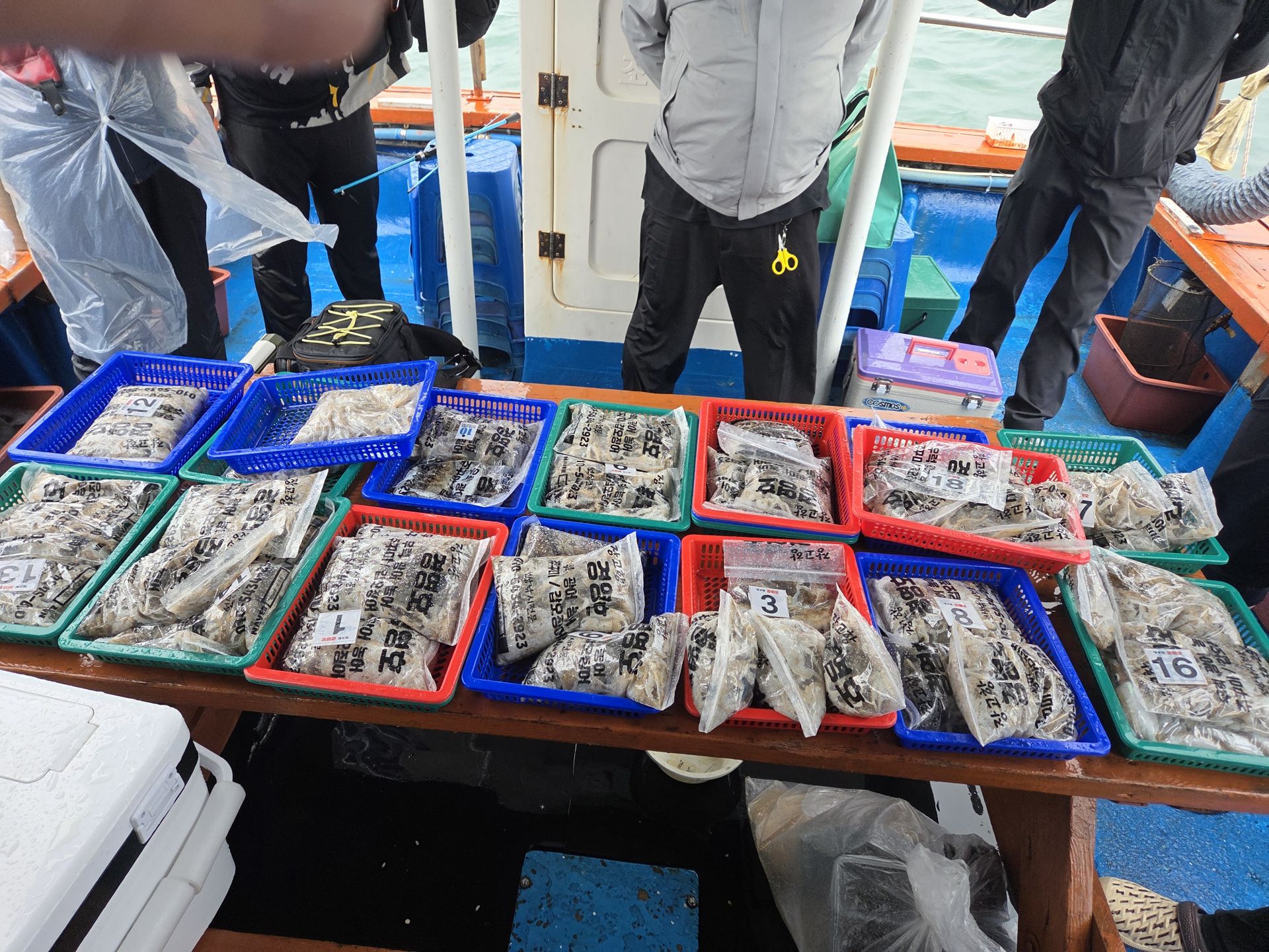 9월19일 주꾸미 조황사진입니다.