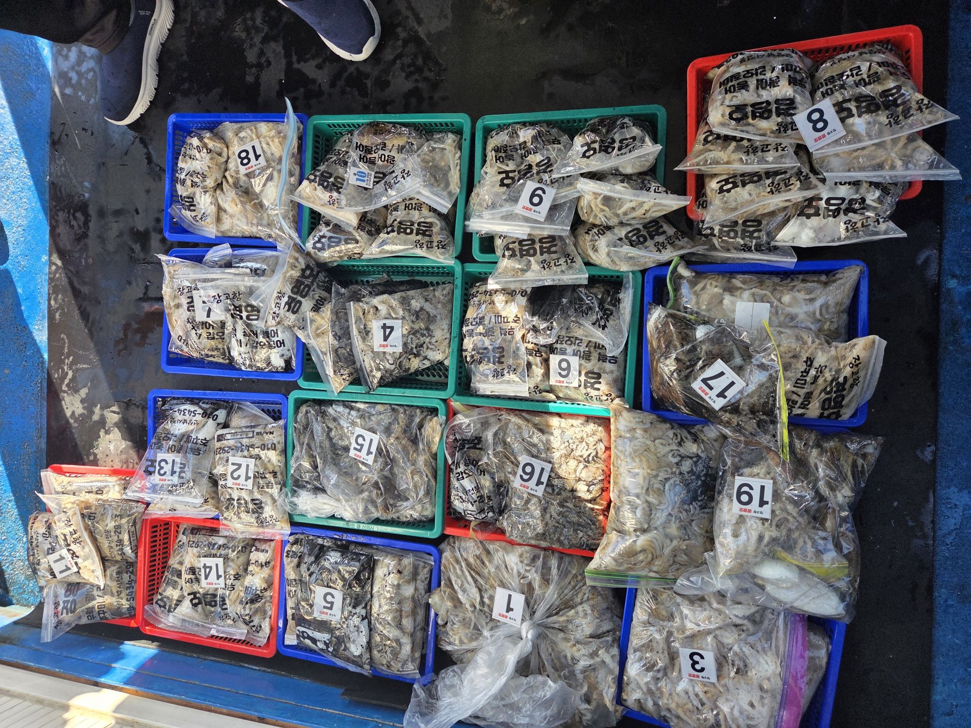 9월29일 주＆갑 조황사진입니다.