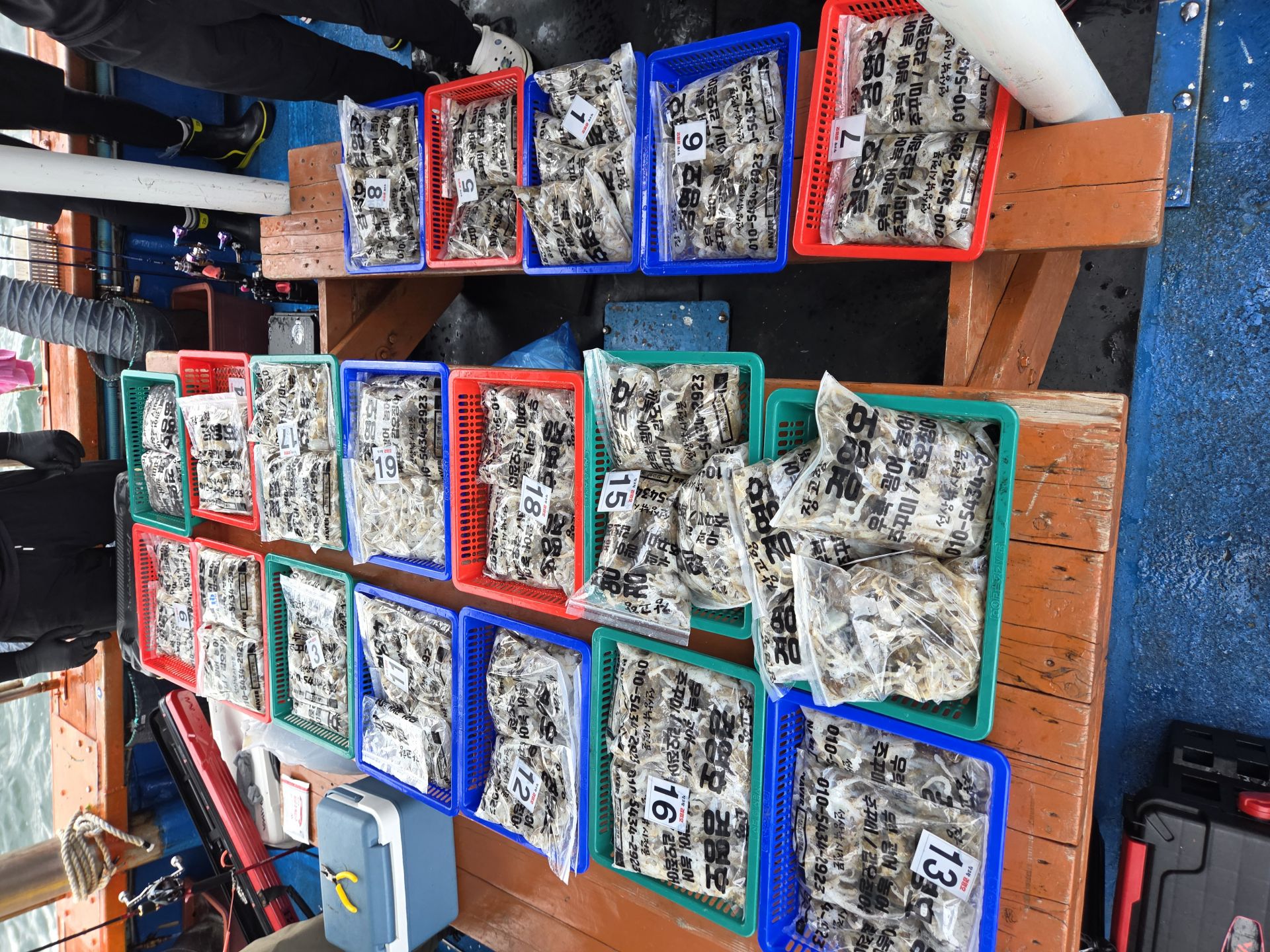 9월1일 주꾸미 첫출항 조황입니다.