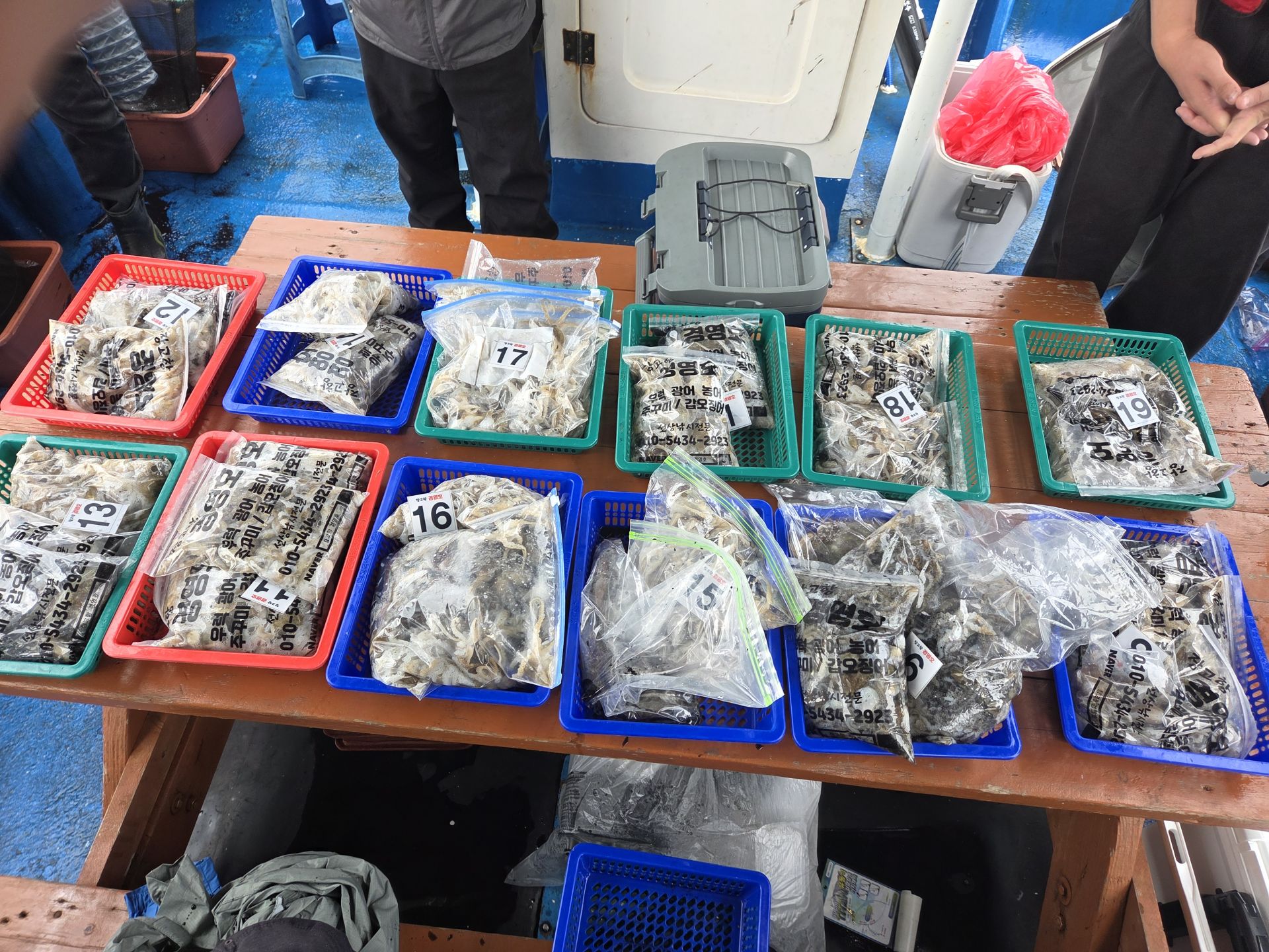 9월20일 주꾸미 조황사진입니다.