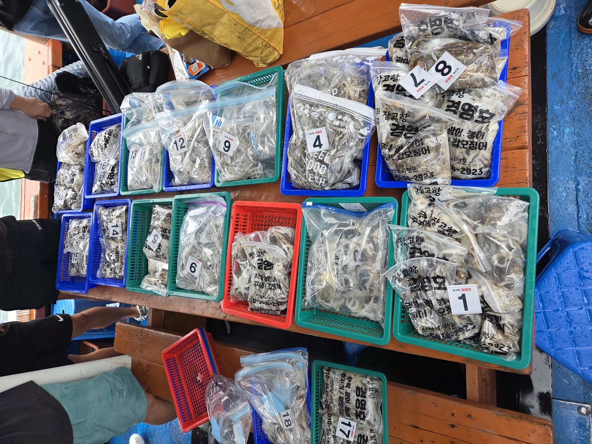 9월7일 주꾸미 조황사진입니다.