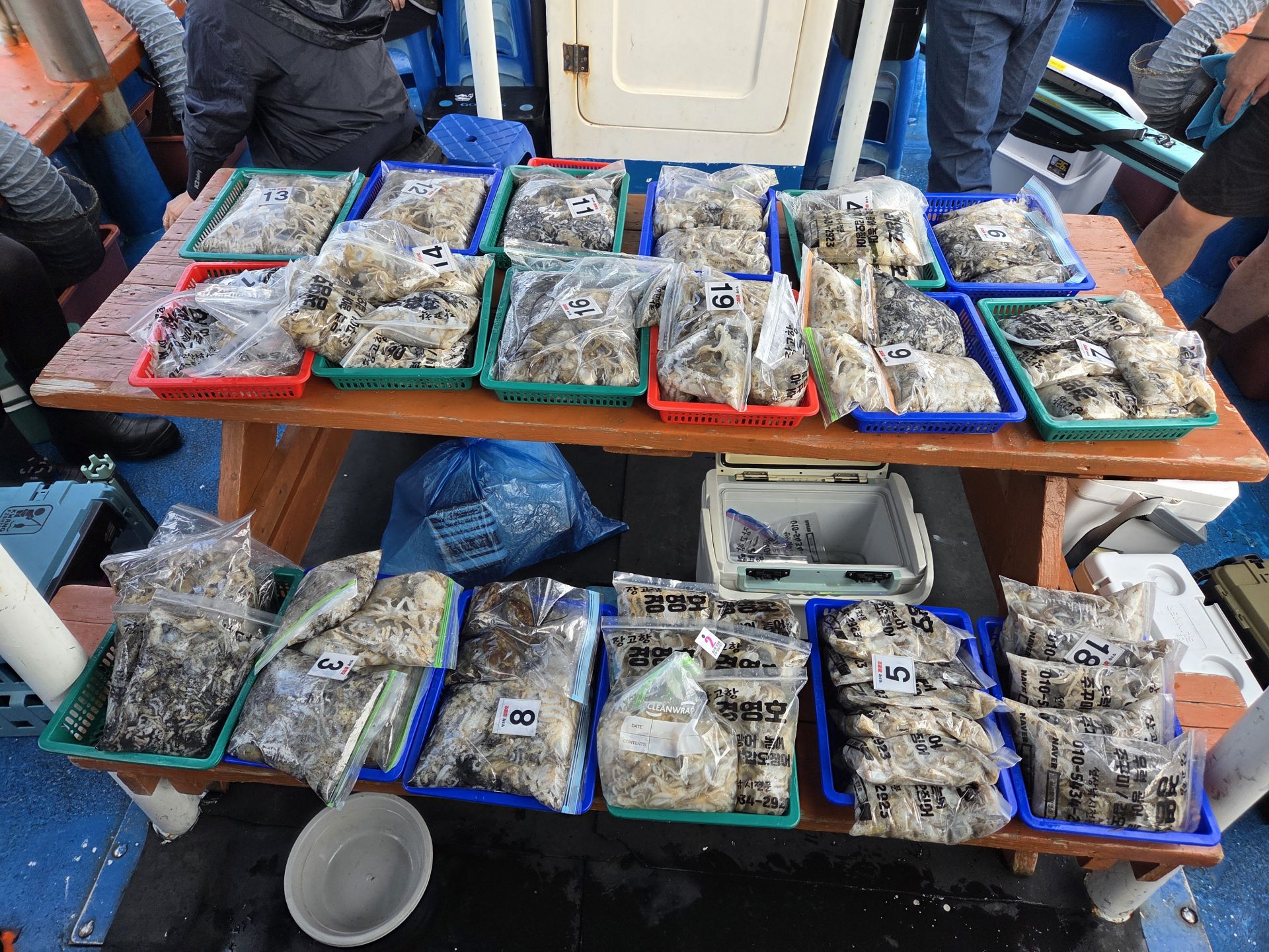 9월14일 조황사진입니다.