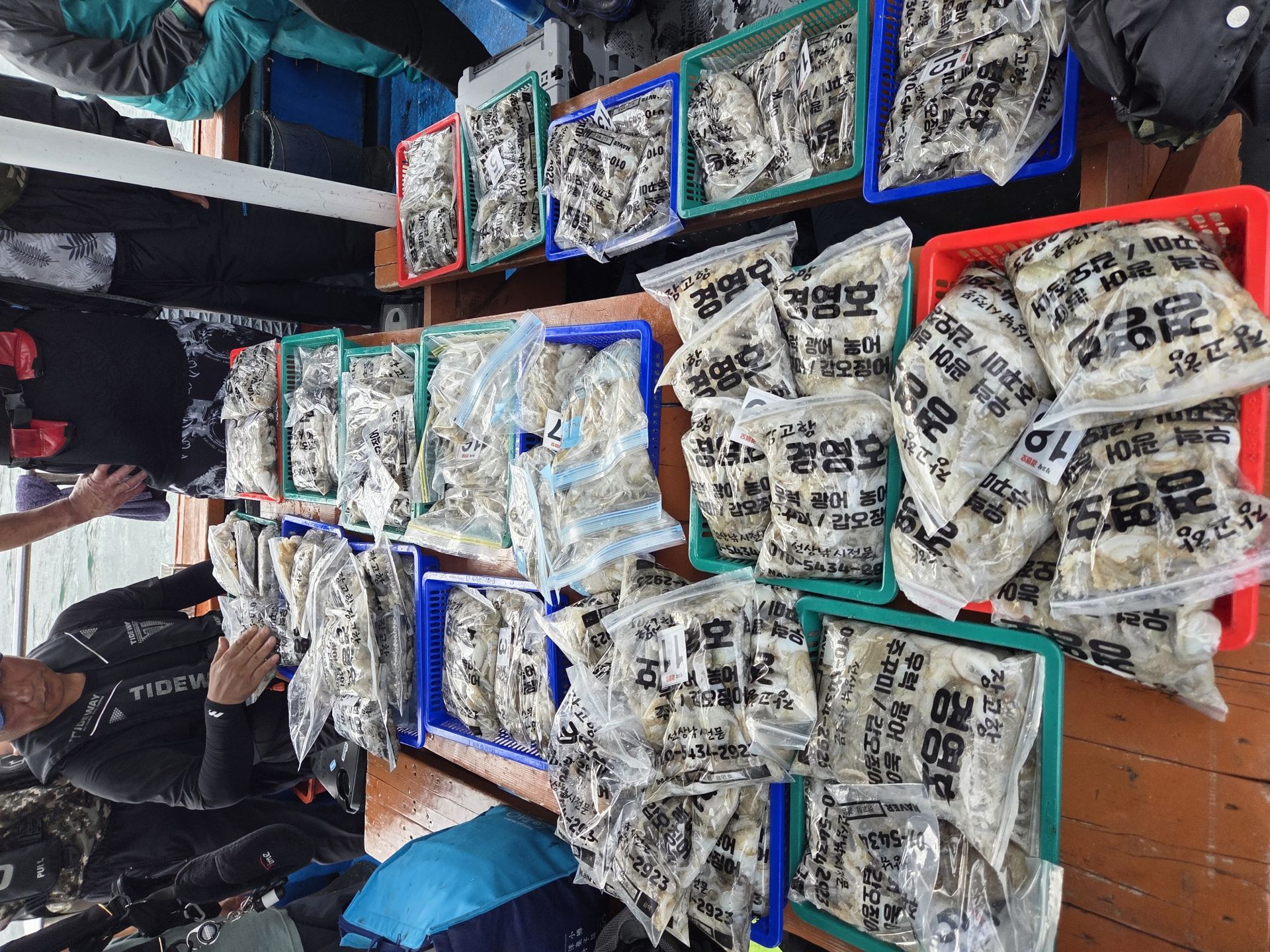 9월6일 주꾸미 조황사진입니다.