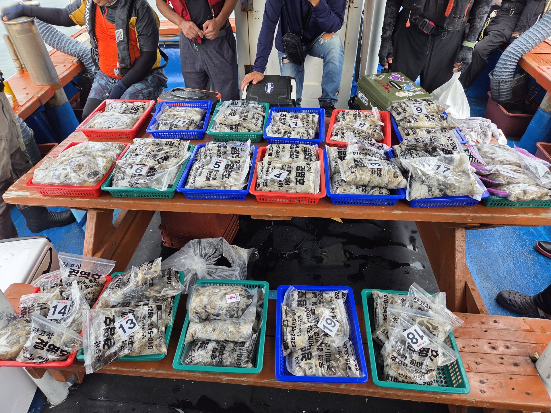 9월15일 주꾸미조황사진입니다.