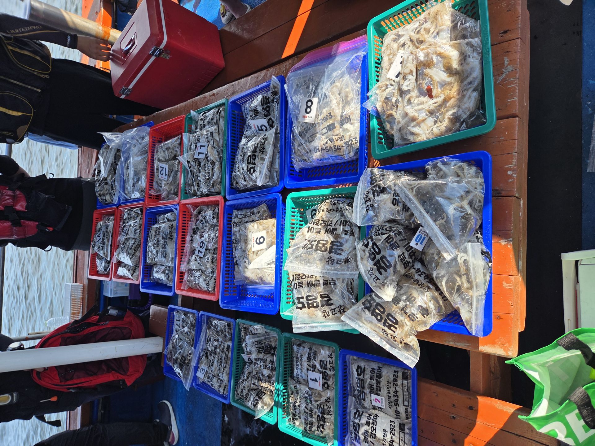 9월2일 주꾸미 조황입니다.