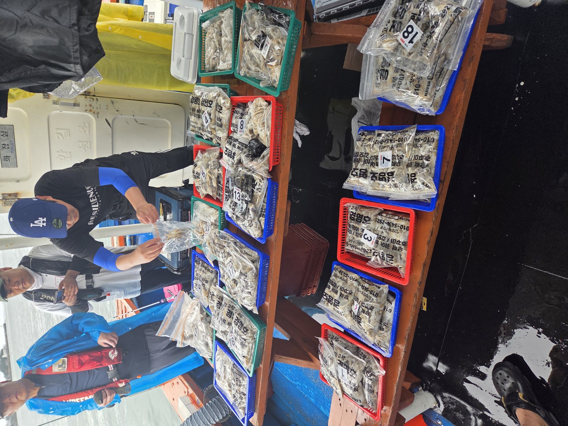 9월16일 주꾸미 조황사진입니다.