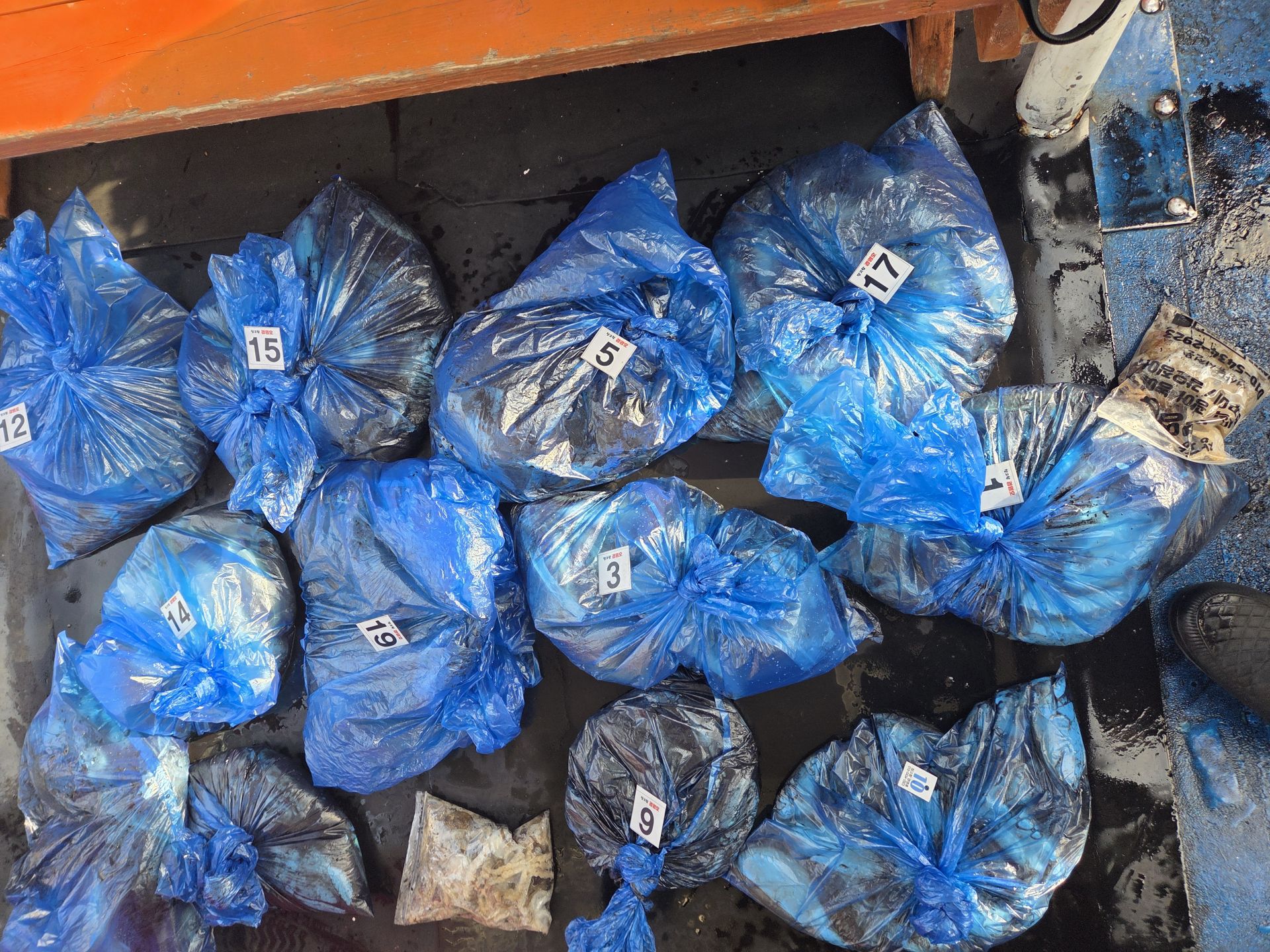 10월24일 주＆갑 조황사진입니다.