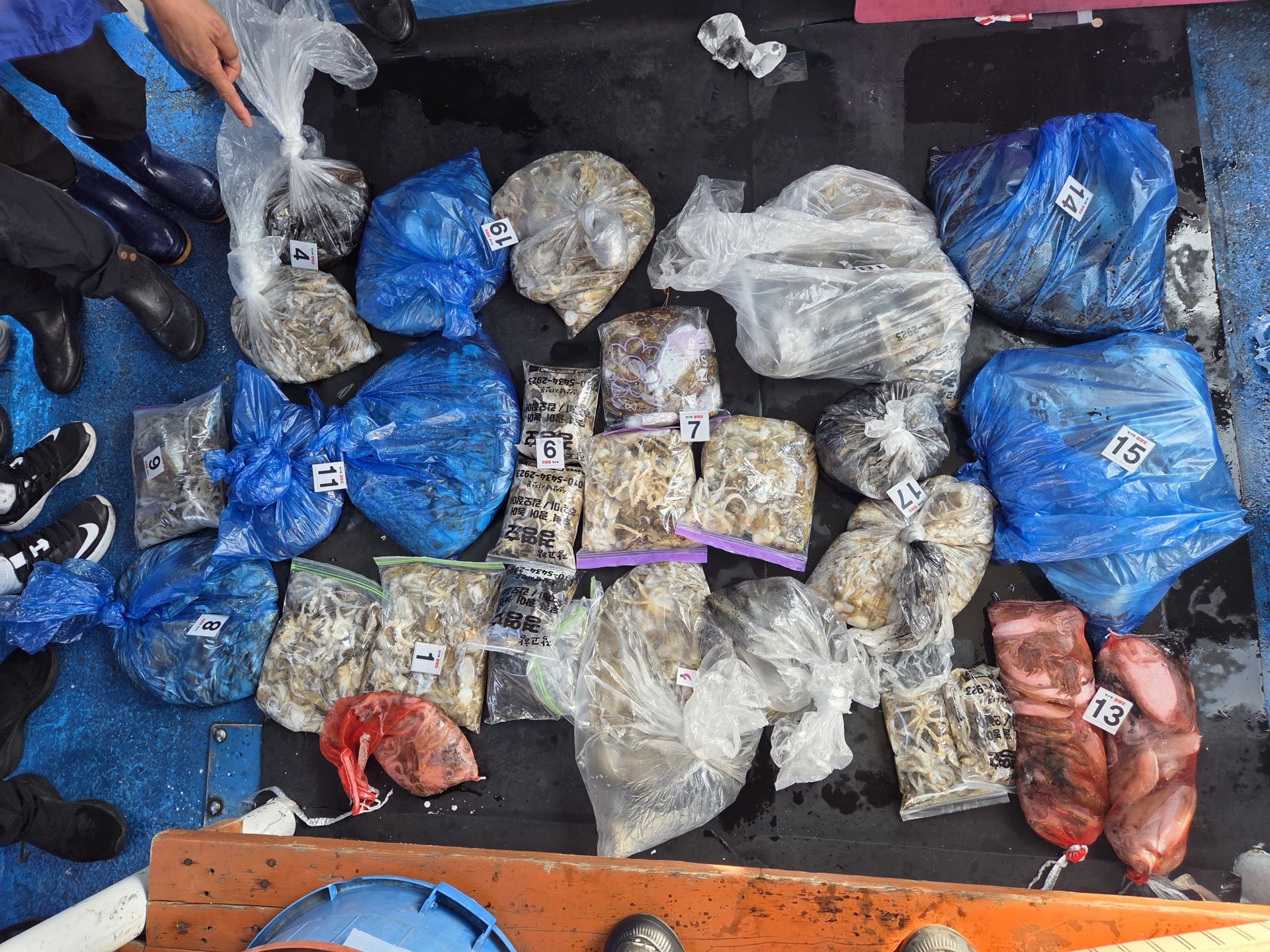 10월1일 주＆갑 조황사진입니다.