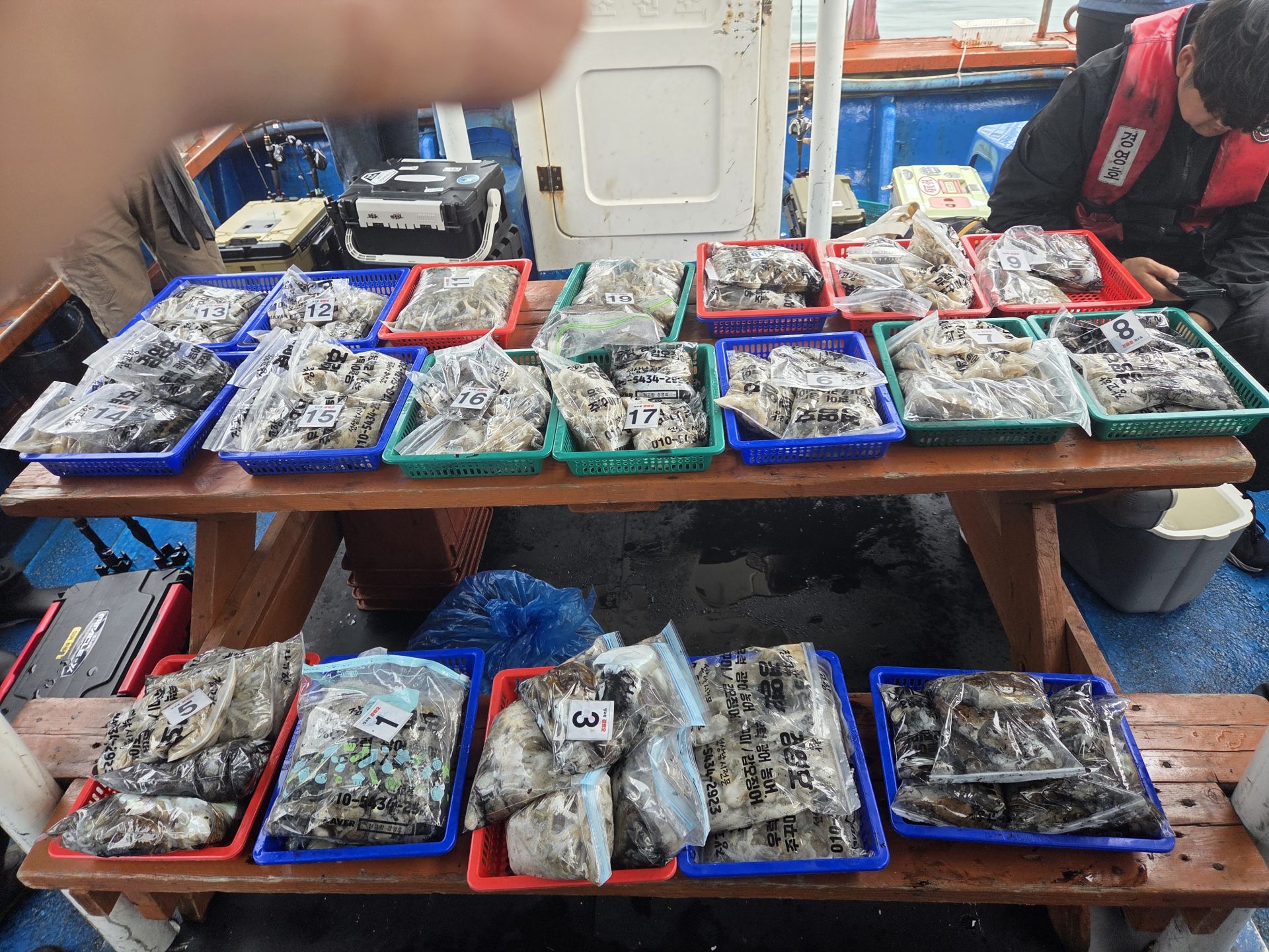 10월12일 주＆갑 조황사진입니다.