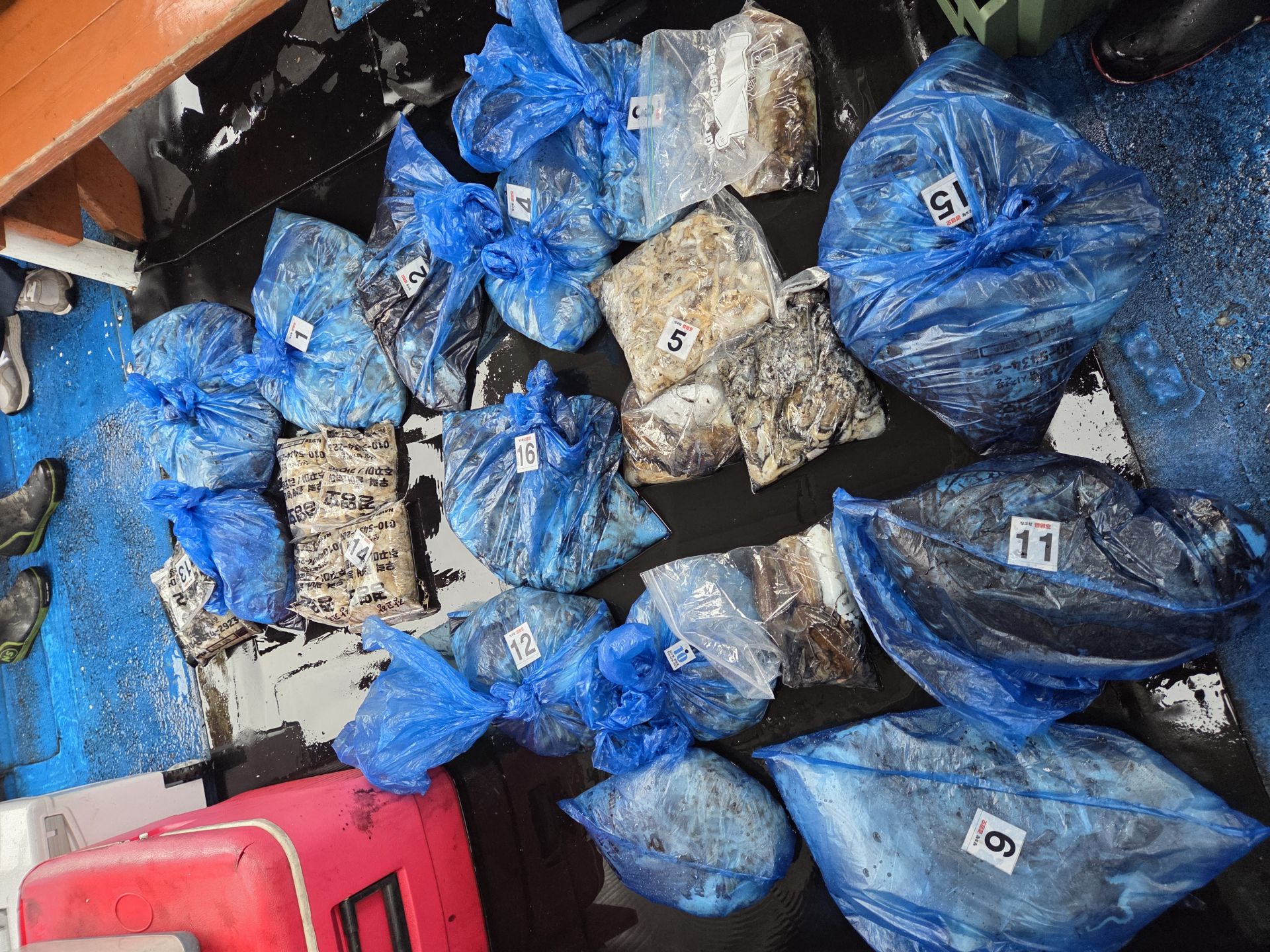 10월26일 주＆갑 조황사진입니다.