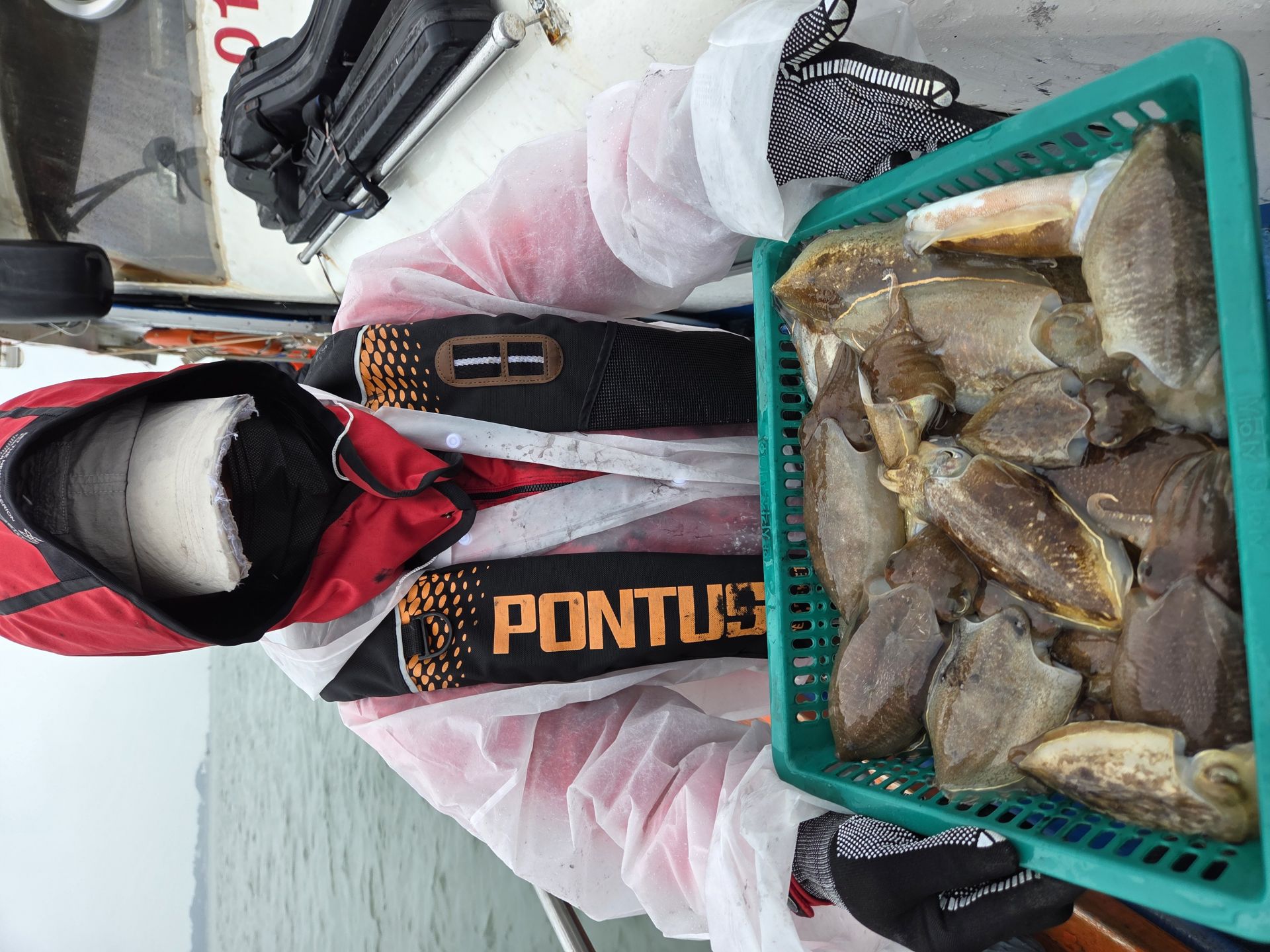 10월10일 주＆갑 조황사진입니다.