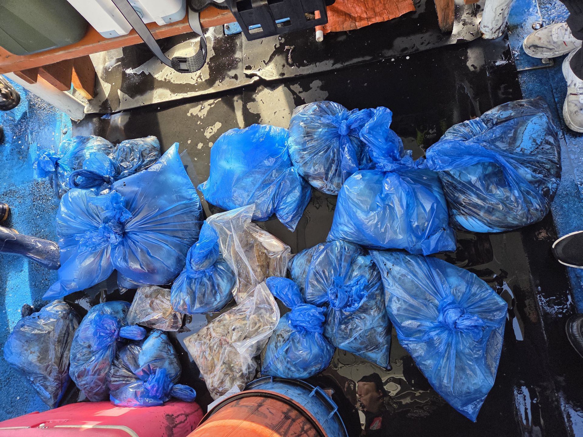 10월25일 주＆갑 조황사진입니다.