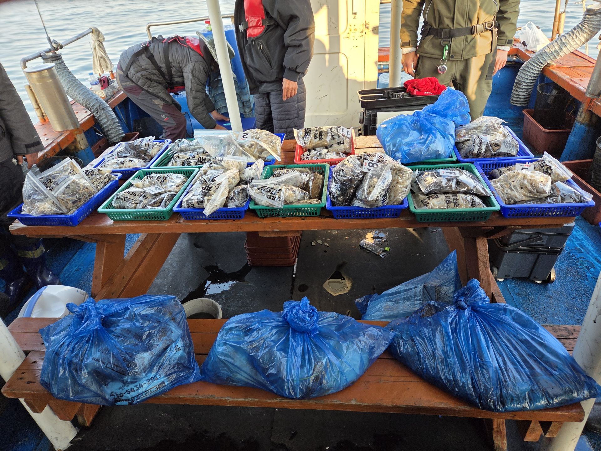 10월28일 주＆갑 조황사진입니다.