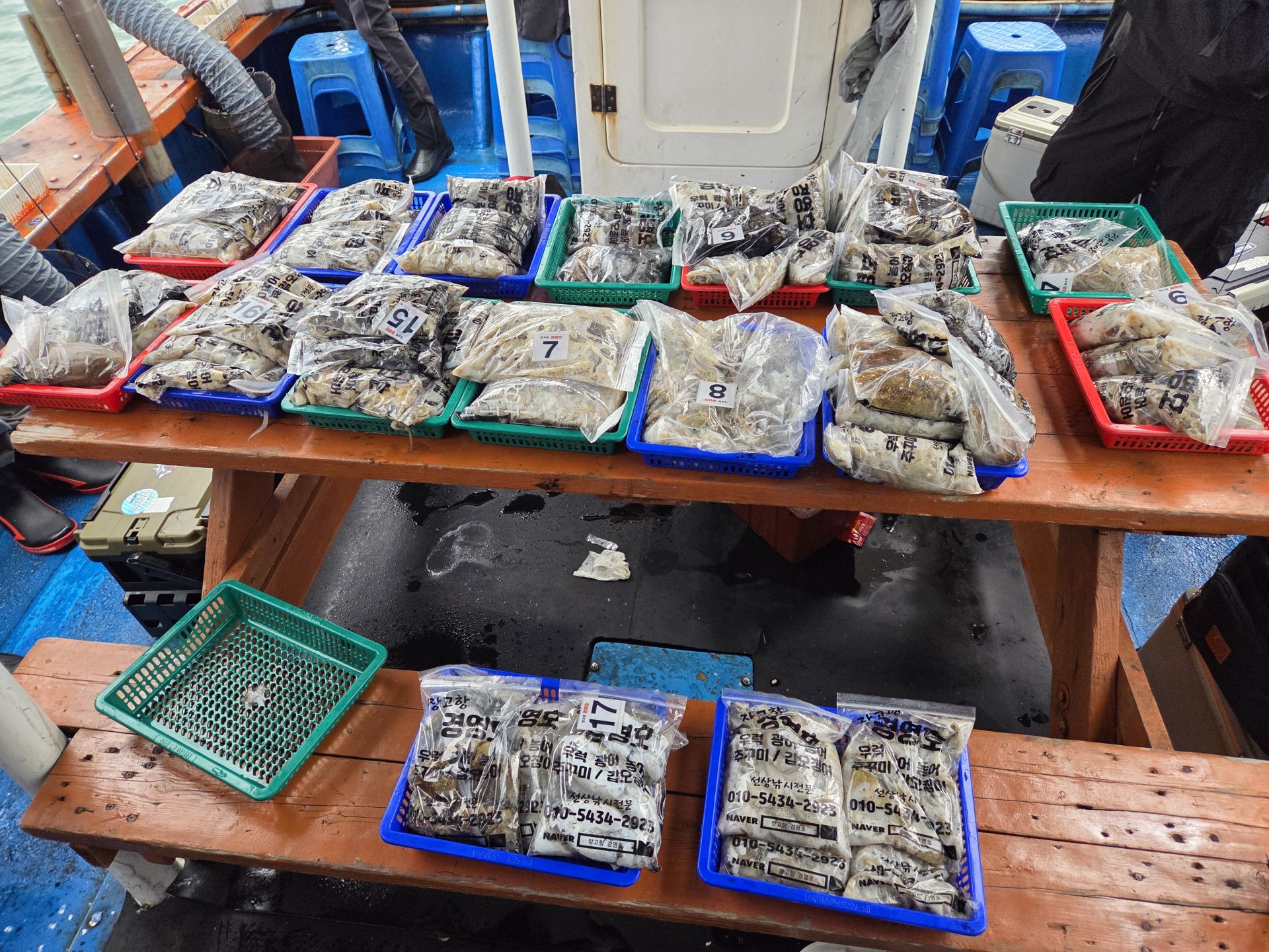 10월15일 주＆갑 조황사진입니다.