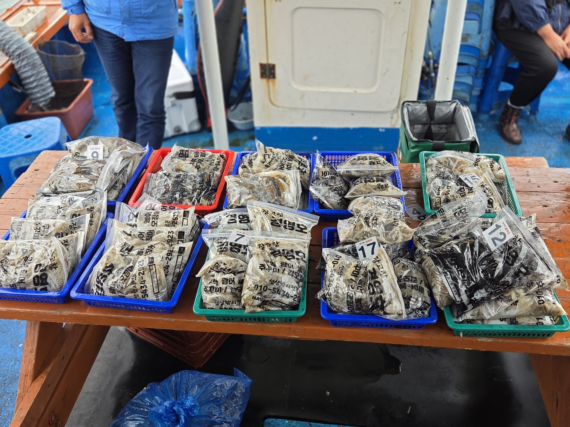 10월14일 주＆갑 조황사진입니다.