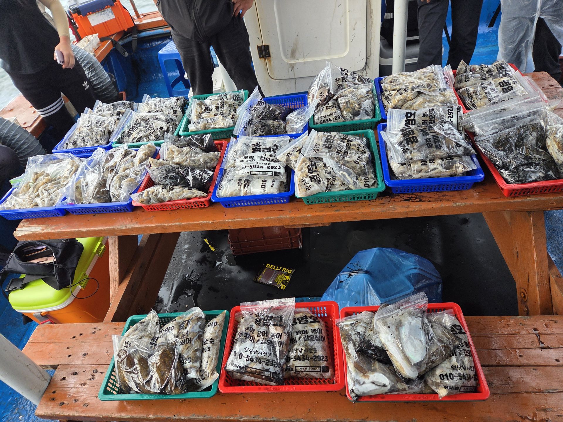 10월5일 주＆갑 조황사진입니다.