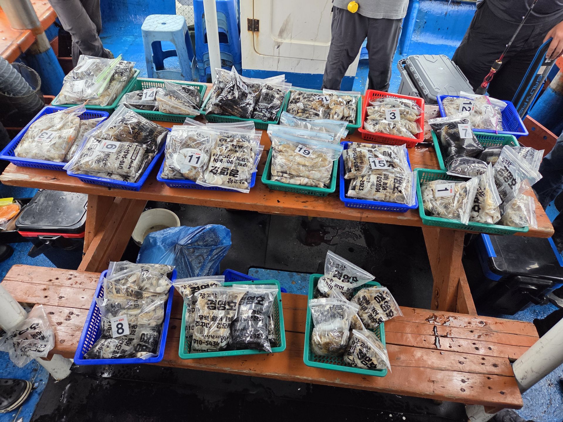 10월2일 주＆갑 조황사진입니다.